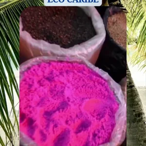 Eco Caribe – Dominikana od kuchni